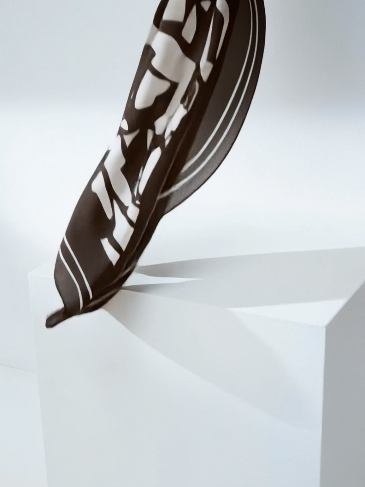 Naisten tyylikäs musta-valkoinen kuviollinen Palsta silkkihuivi tuotevideossa